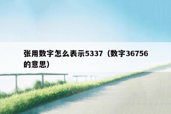 张用数字怎么表示5337（数字36756的意思）