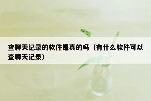 查聊天记录的软件是真的吗（有什么软件可以查聊天记录）