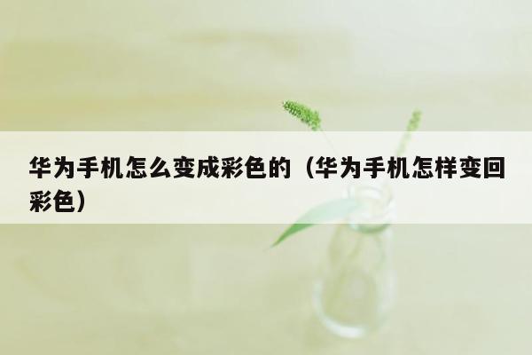 华为手机怎么变成彩色的（华为手机怎样变回彩色）