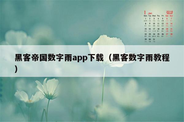 黑客帝国数字雨app下载（黑客数字雨教程）