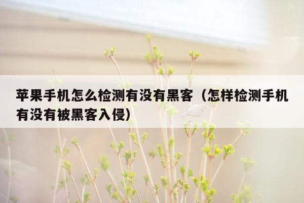 苹果手机怎么检测有没有黑客（怎样检测手机有没有被黑客入侵）