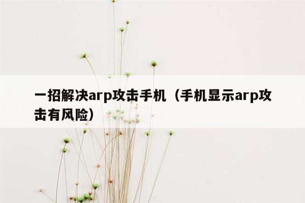 一招解决arp攻击手机（手机显示arp攻击有风险）