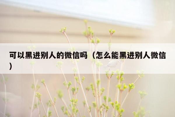 可以黑进别人的微信吗（怎么能黑进别人微信）