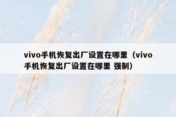 vivo手机恢复出厂设置在哪里（vivo手机恢复出厂设置在哪里 强制）