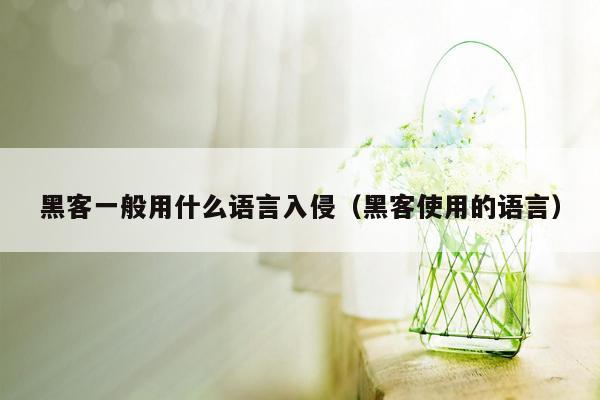 黑客一般用什么语言入侵（黑客使用的语言）