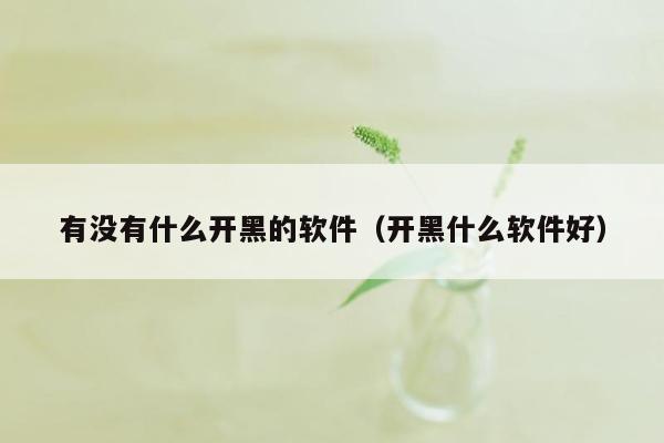 有没有什么开黑的软件（开黑什么软件好）