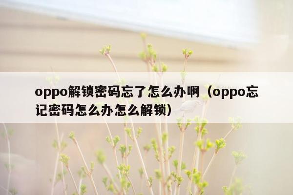 oppo解锁密码忘了怎么办啊（oppo忘记密码怎么办怎么解锁）