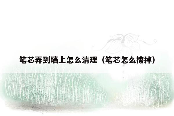 笔芯弄到墙上怎么清理（笔芯怎么擦掉）