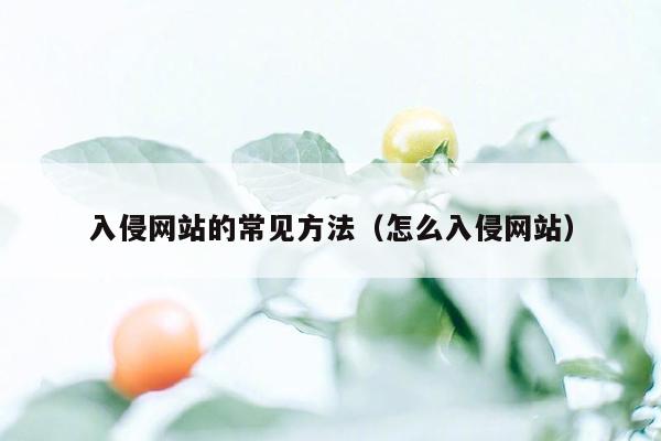 入侵网站的常见方法（怎么入侵网站）