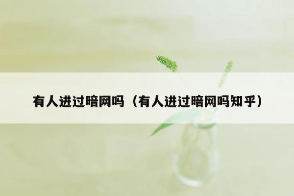 有人进过暗网吗（有人进过暗网吗知乎）