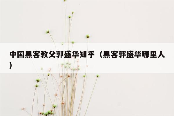 中国黑客教父郭盛华知乎（黑客郭盛华哪里人）