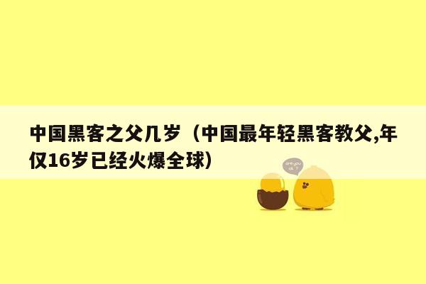 中国黑客之父几岁（中国最年轻黑客教父,年仅16岁已经火爆全球）