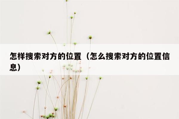 怎样搜索对方的位置（怎么搜索对方的位置信息）