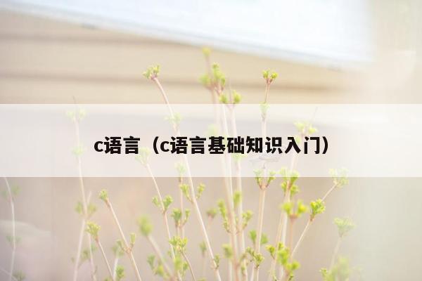 c语言（c语言基础知识入门）