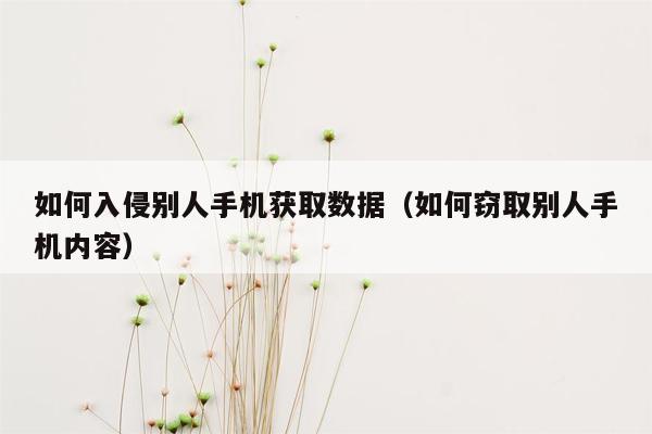 如何入侵别人手机获取数据（如何窃取别人手机内容）