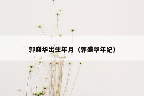 郭盛华出生年月（郭盛华年纪）