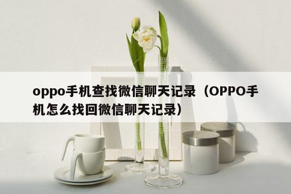 oppo手机查找微信聊天记录（OPPO手机怎么找回微信聊天记录）