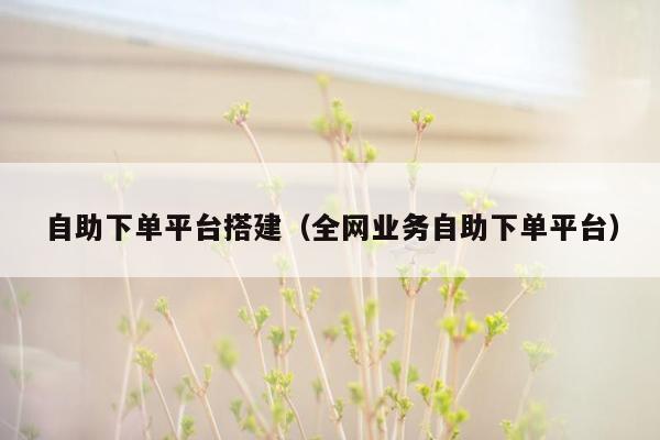 自助下单平台搭建（全网业务自助下单平台）