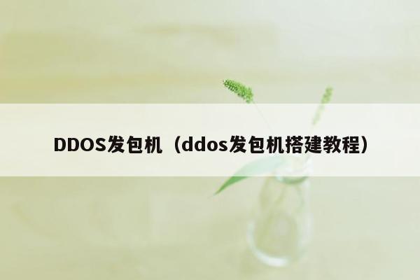 DDOS发包机（ddos发包机搭建教程）