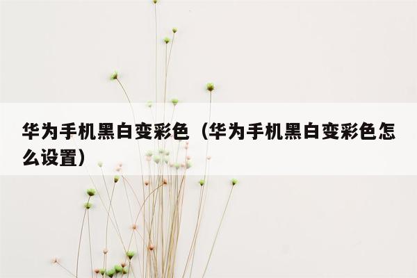 华为手机黑白变彩色（华为手机黑白变彩色怎么设置）