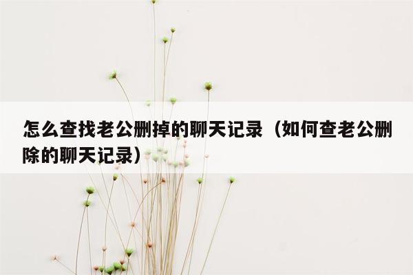 怎么查找老公删掉的聊天记录（如何查老公删除的聊天记录）