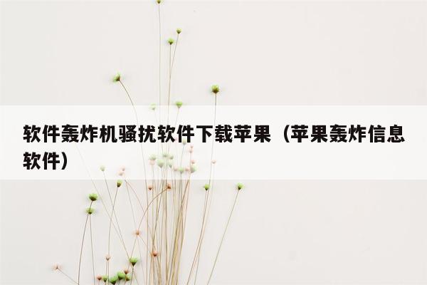 软件轰炸机骚扰软件下载苹果（苹果轰炸信息软件）