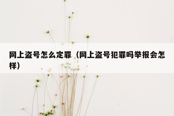 网上盗号怎么定罪（网上盗号犯罪吗举报会怎样）