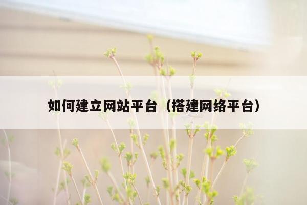 如何建立网站平台（搭建网络平台）