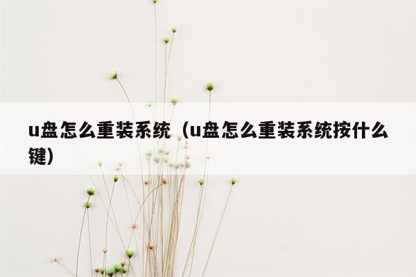 u盘怎么重装系统（u盘怎么重装系统按什么键）