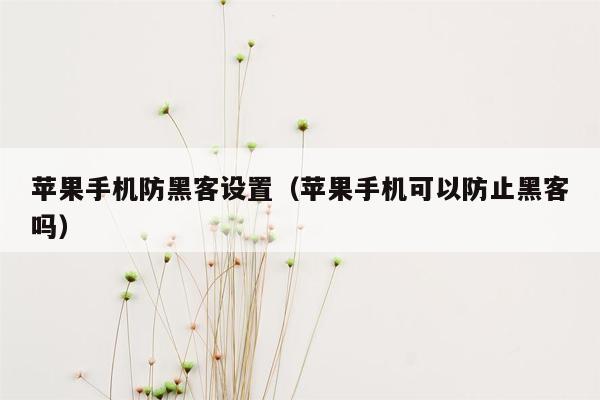 苹果手机防黑客设置（苹果手机可以防止黑客吗）