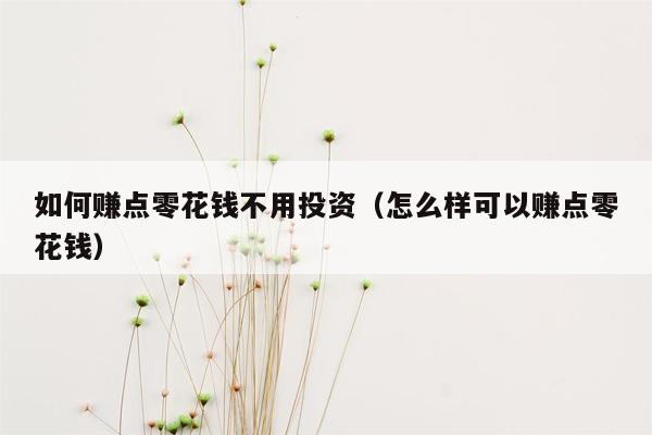 如何赚点零花钱不用投资（怎么样可以赚点零花钱）