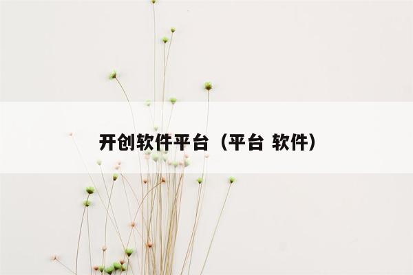 开创软件平台（平台 软件）