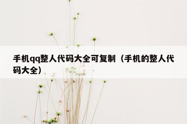 手机qq整人代码大全可复制（手机的整人代码大全）