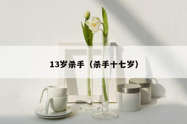 13岁杀手（杀手十七岁）