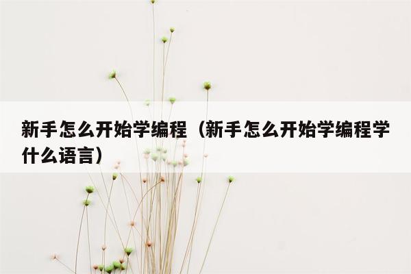 新手怎么开始学编程（新手怎么开始学编程学什么语言）