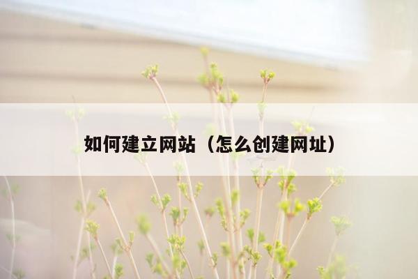 如何建立网站（怎么创建网址）