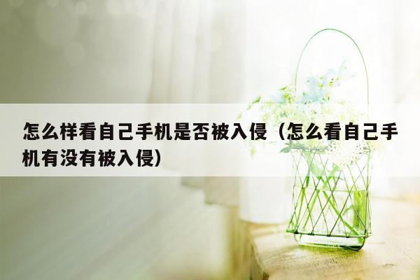 怎么样看自己手机是否被入侵（怎么看自己手机有没有被入侵）