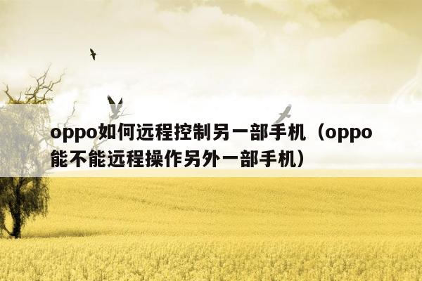 oppo如何远程控制另一部手机（oppo能不能远程操作另外一部手机）