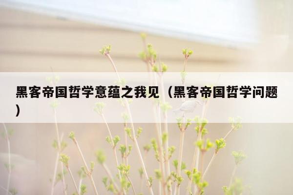 黑客帝国哲学意蕴之我见（黑客帝国哲学问题）