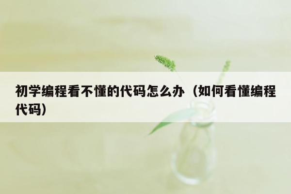 初学编程看不懂的代码怎么办（如何看懂编程代码）