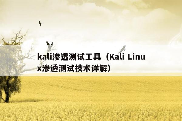 kali渗透测试工具（Kali Linux渗透测试技术详解）