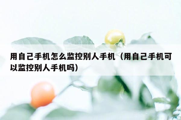 用自己手机怎么监控别人手机（用自己手机可以监控别人手机吗）