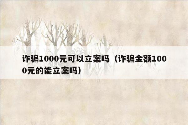 诈骗1000元可以立案吗（诈骗金额1000元的能立案吗）