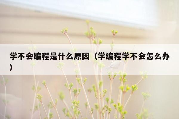 学不会编程是什么原因（学编程学不会怎么办）