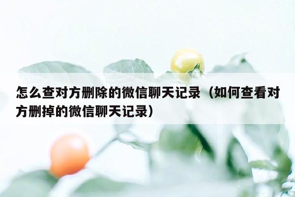 怎么查对方删除的微信聊天记录（如何查看对方删掉的微信聊天记录）