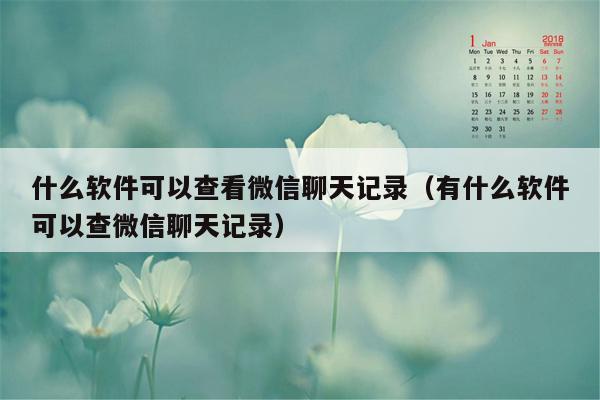 什么软件可以查看微信聊天记录（有什么软件可以查微信聊天记录）