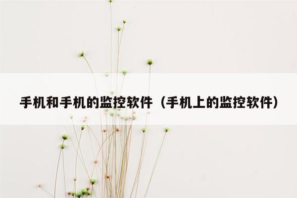 手机和手机的监控软件（手机上的监控软件）