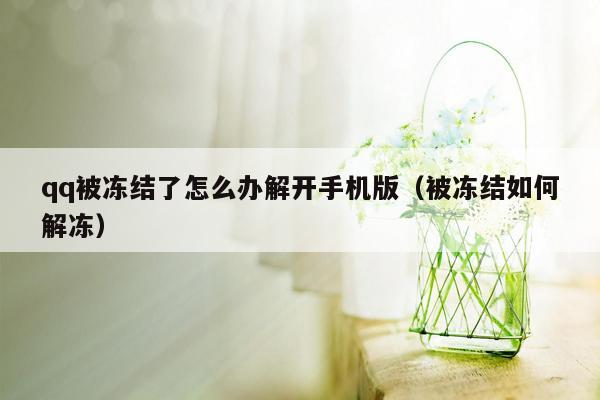 qq被冻结了怎么办解开手机版（被冻结如何解冻）