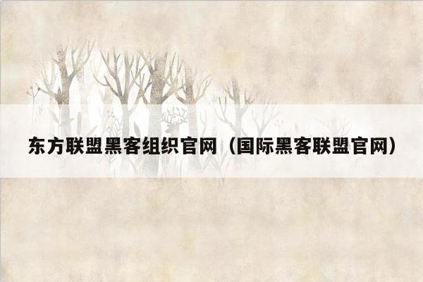 东方联盟黑客组织官网（国际黑客联盟官网）