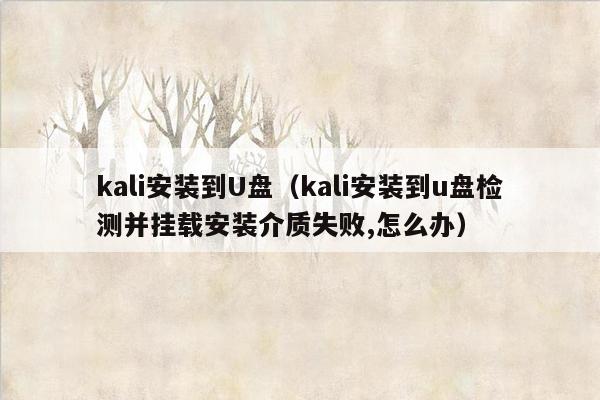 kali安装到U盘（kali安装到u盘检测并挂载安装介质失败,怎么办）